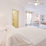 Anne * פארוס